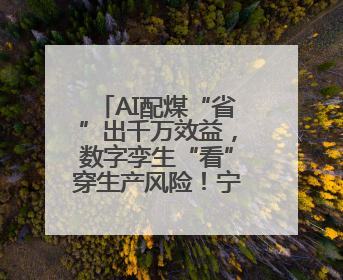 AI配煤“省”出千万效益，数字孪生“看”穿生产风险！宁阳县传统制造业“智”变突围