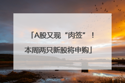A股又现“肉签”！本周两只新股将申购