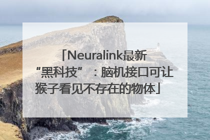 Neuralink最新“黑科技”：脑机接口可让猴子看见不存在的物体