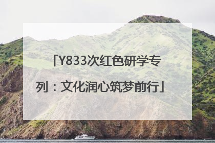 Y833次红色研学专列：文化润心筑梦前行