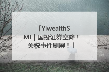 YiwealthSMI｜国投证券空降！关税事件刷屏！